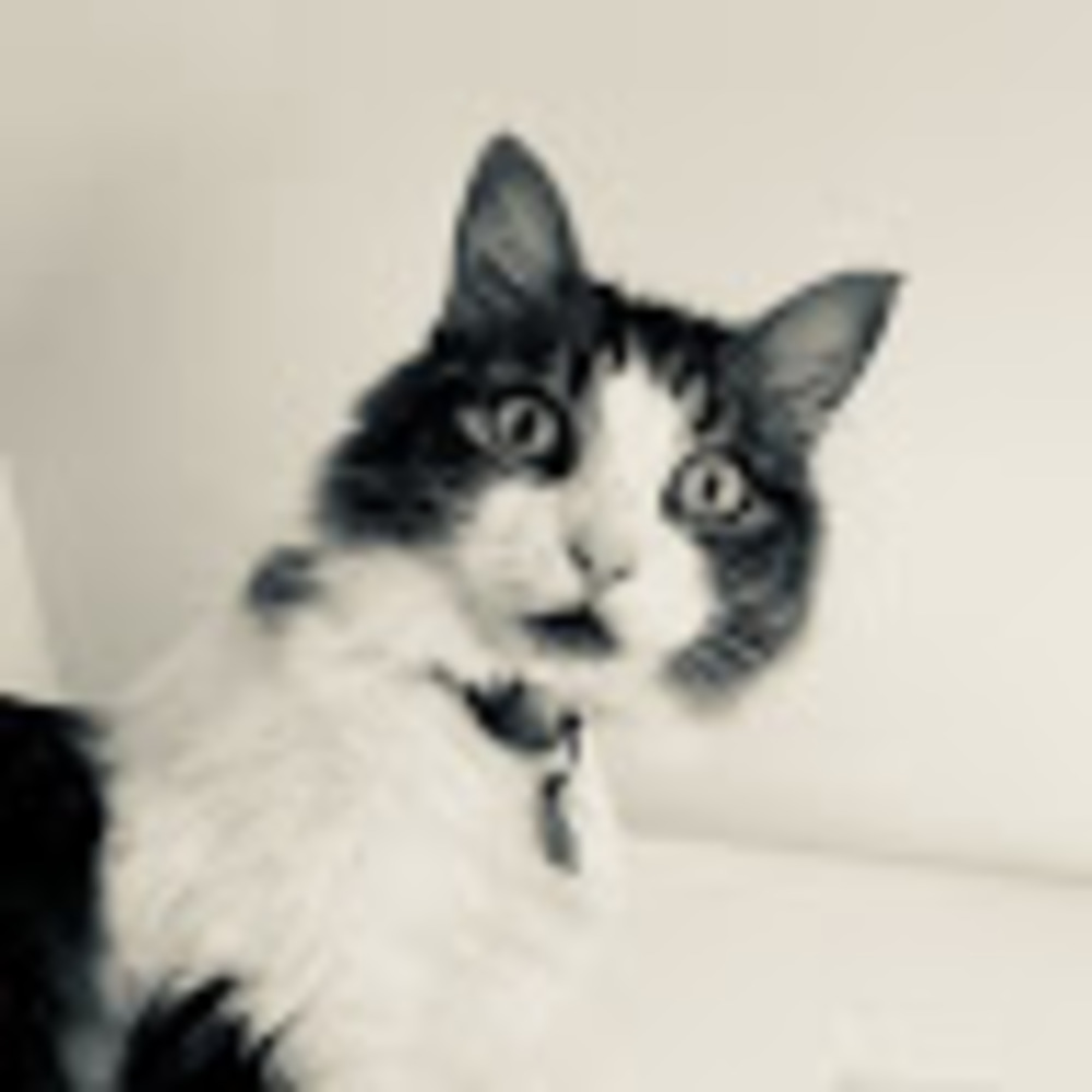 Meet your Posher, Maxi